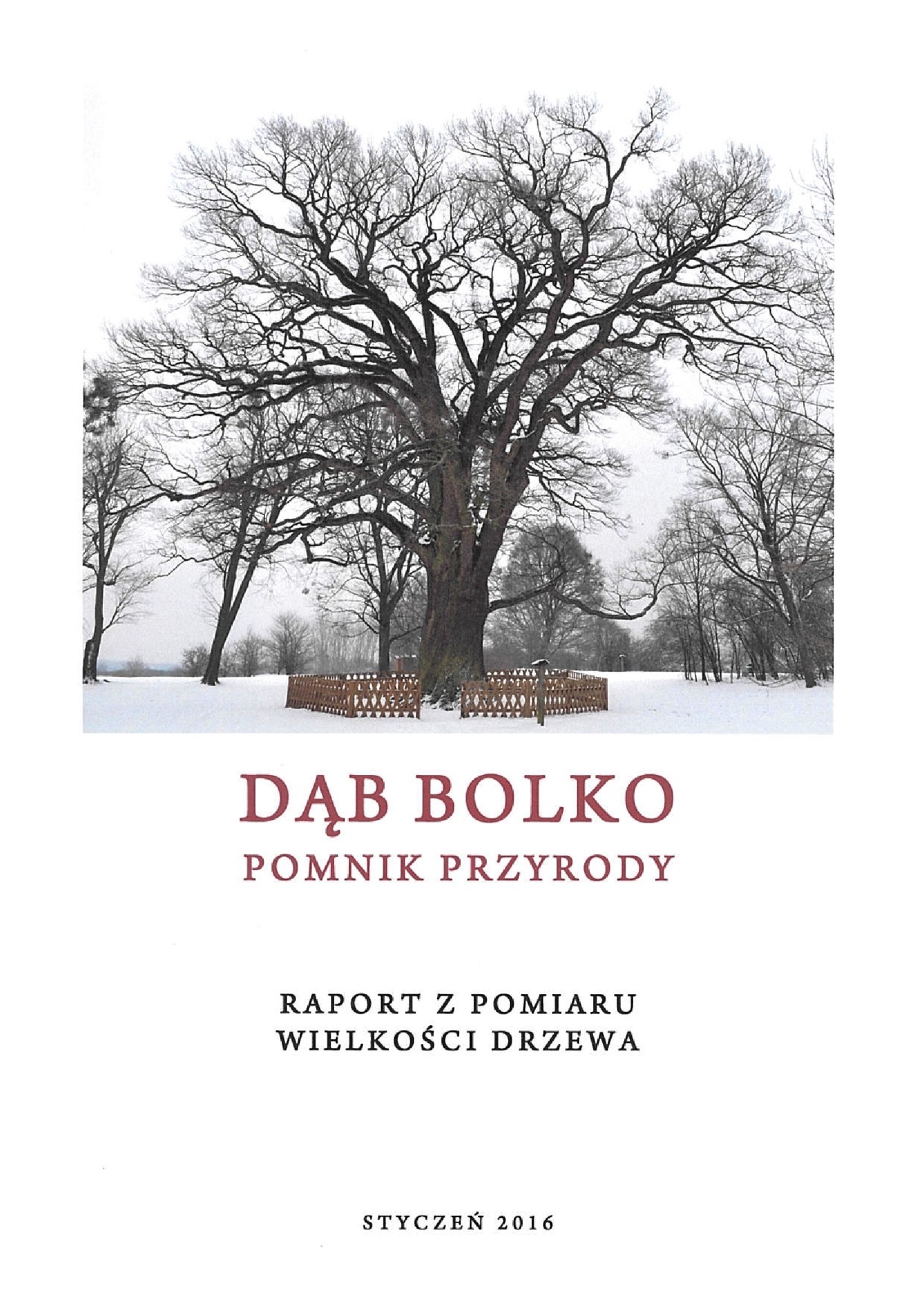 bolko pomiar 2016 01 14 1