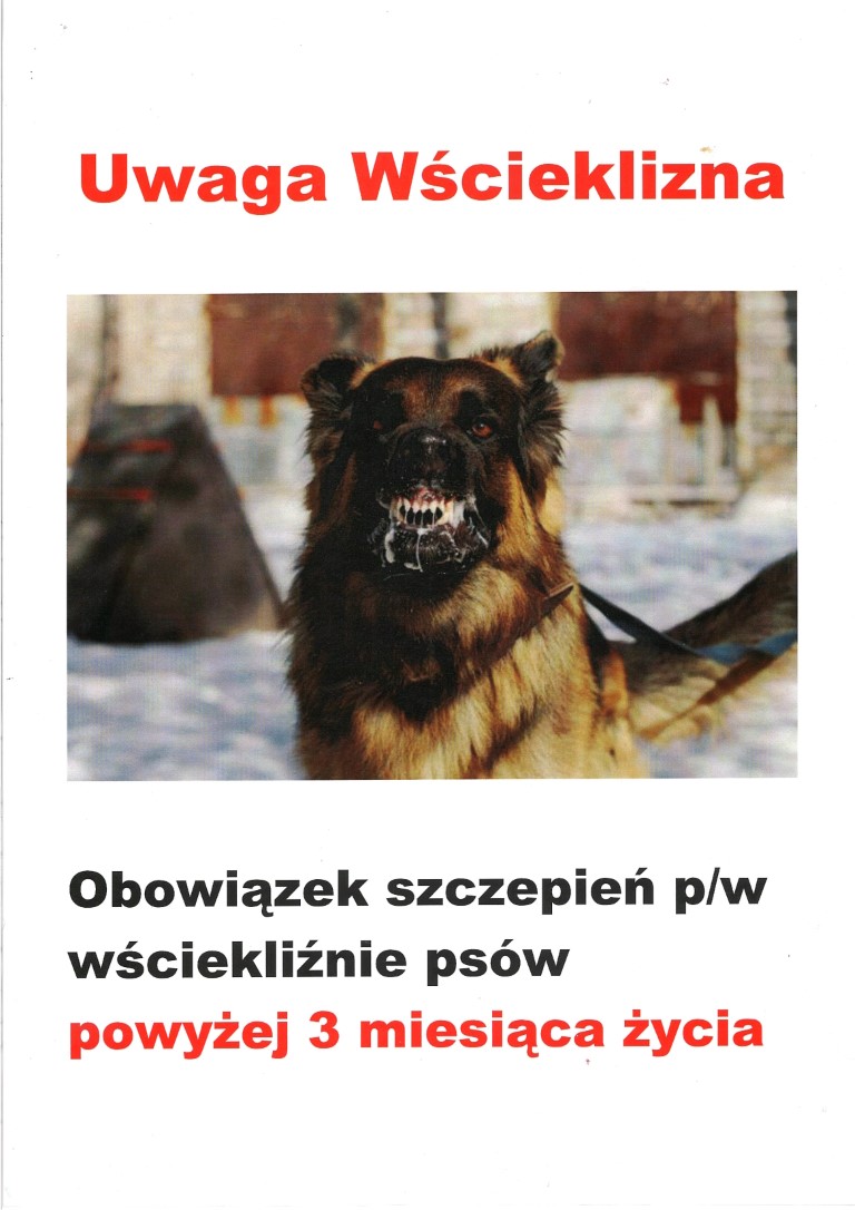 uwaga wscieklizna